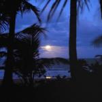 Sejala Beach Huts - Surfers Gold Coast 0