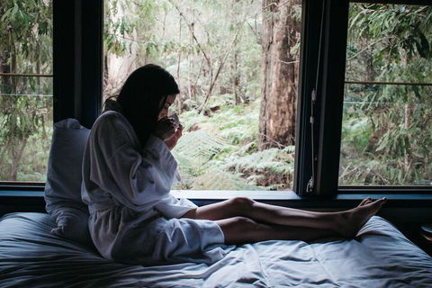 Woodlands Rainforest Retreat - Surfers Gold Coast 5