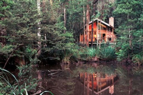 Woodlands Rainforest Retreat - Surfers Gold Coast 0