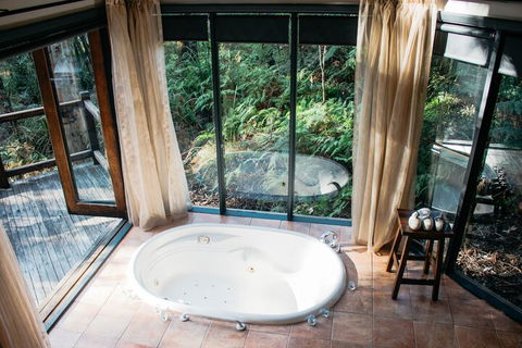 Woodlands Rainforest Retreat - Surfers Gold Coast 7