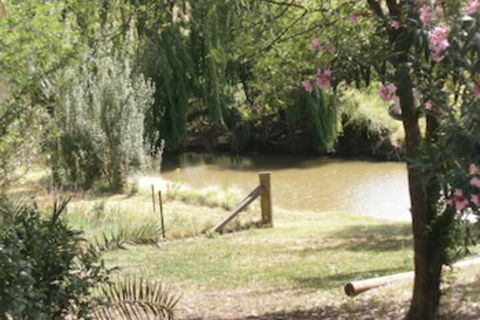 Kellys Motel Oakey - Surfers Gold Coast 5