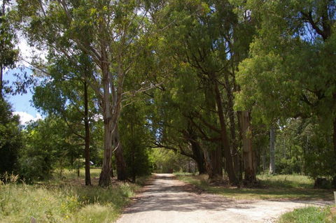 Stanley Goose Cottage - Surfers Gold Coast 2