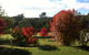 Stanley Goose Cottage - thumb 5