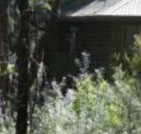 Twin Falls Bush Cottages - Surfers Gold Coast