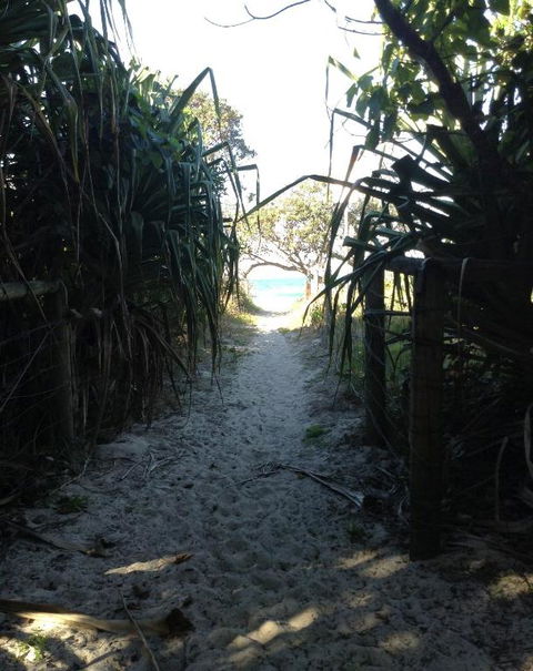 On The Beach At Hastings Point - Surfers Gold Coast 1