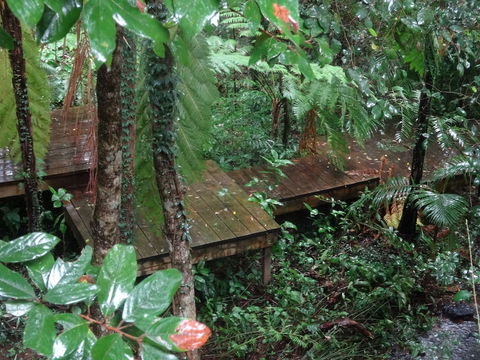 Treetops Accommodation Montville - Surfers Gold Coast 1