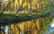 On The Banks - thumb 3