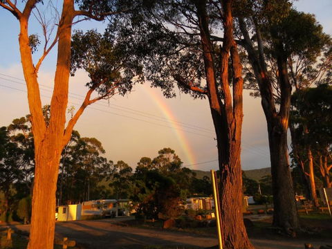 Captain Cook Holiday Park - Surfers Gold Coast 5