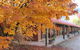 Harrietville Snowline Hotel - thumb 2