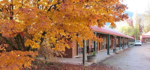 Harrietville Snowline Hotel - Surfers Gold Coast 2