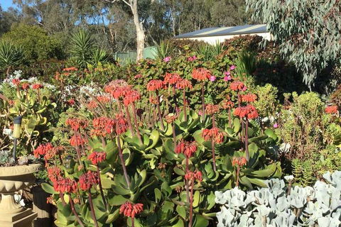 Glenrowan Kelly Country Motel - Surfers Gold Coast 3