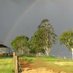 CBR Equine Cottage - Surfers Gold Coast 0
