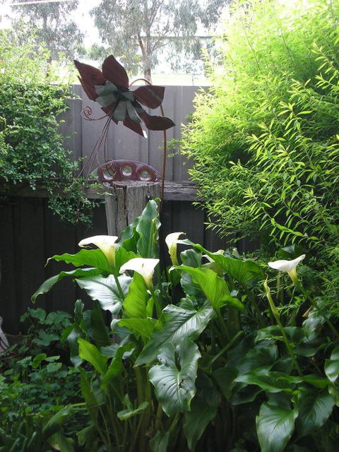 C & As Cottage - Surfers Gold Coast 2
