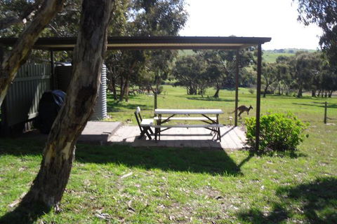 Wenton Farm Holiday Cottages - Surfers Gold Coast 2