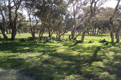 Wenton Farm Holiday Cottages - Surfers Gold Coast 3