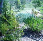 Old Miners Cottages Bed  Breakfast - Surfers Gold Coast