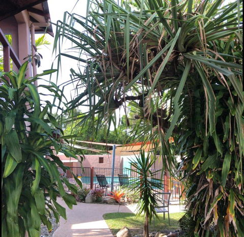 Pandanus Holiday Apartments - Surfers Gold Coast 4