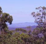 Ravensbourne Escape Cedar Lodge - Surfers Gold Coast