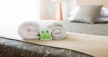 Capella Coach Inn - Surfers Gold Coast 2