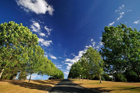 The Sebel Pinnacle Valley Resort - Surfers Gold Coast 1