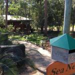 Sea Nest - Surfers Gold Coast 0