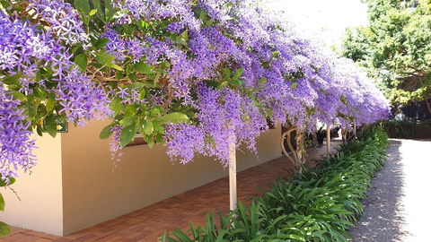 Bendles Cottages And Country Villas - Surfers Gold Coast 4