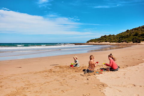 Kennett River Family Caravan Park - Surfers Gold Coast 4