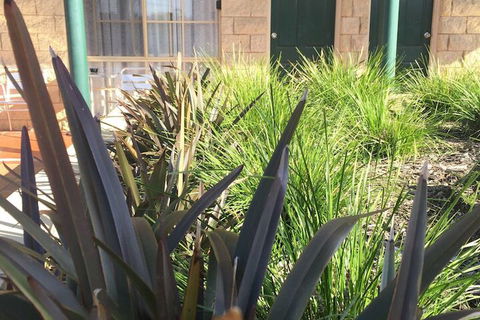 Mulwala Paradise Palms Motel - Surfers Gold Coast 3