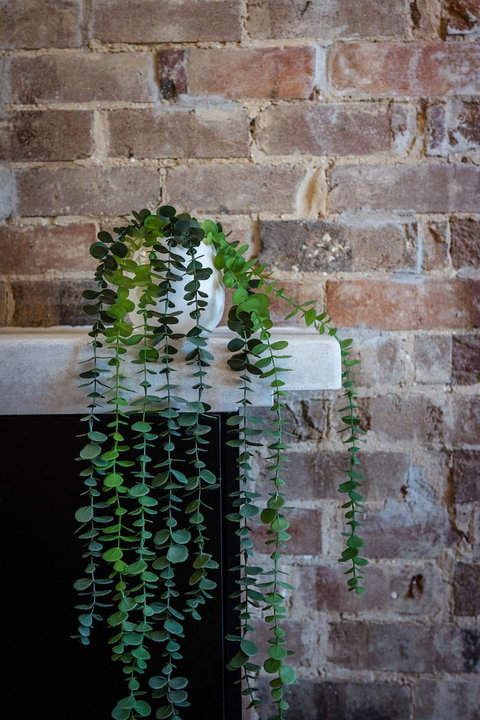 Grand Hotel Wyong - Surfers Gold Coast 1