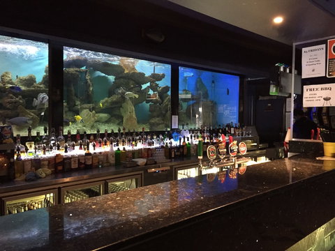 Harp Hotel - Surfers Gold Coast 4