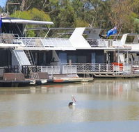Murray Bridge Caravan Park - Surfers Gold Coast