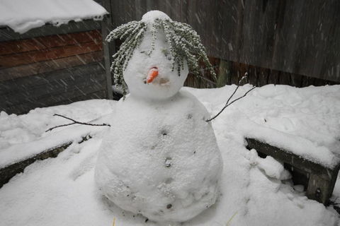 CHILL OUT At THREDBO - Surfers Gold Coast 2