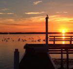 Bayview Boathouse - Surfers Gold Coast
