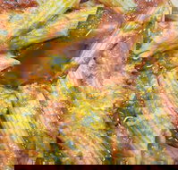 Jaspers Pizza  Pasta - Surfers Gold Coast