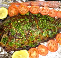 Alamaro - Surfers Gold Coast