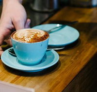 Wild Timor Cafe - Surfers Gold Coast