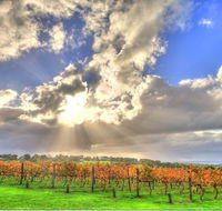 Max's at Red Hill Estate - Surfers Gold Coast