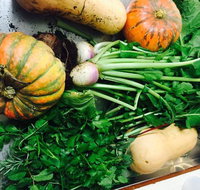 Shady Elm Cafe - Surfers Gold Coast