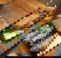 Two Little Owls Cafe - Surfers Gold Coast