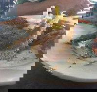 Newmarket Hotel - Surfers Gold Coast