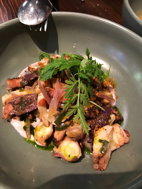 Pastuso - Surfers Gold Coast 20