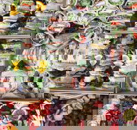 Willies Cafe - Surfers Gold Coast