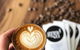 Grind & Co. Pemulwuy - thumb 0
