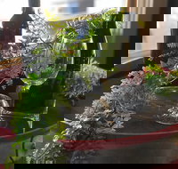 The Red Barrel Wine House - Surfers Gold Coast