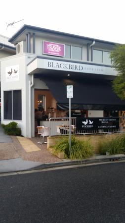 Blackbird Espresso - Surfers Gold Coast 0