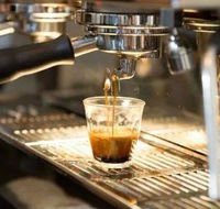 Black Bear Cafe - Surfers Gold Coast