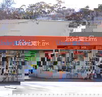 Under the Elms - Surfers Gold Coast