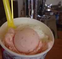 Bermagui Gelati Clinic - Surfers Gold Coast