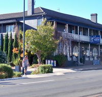 Coachwood  Cedar Motor Hotel Restaurant - Surfers Gold Coast