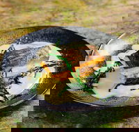 The Sitting Duck Restaurant - Surfers Gold Coast